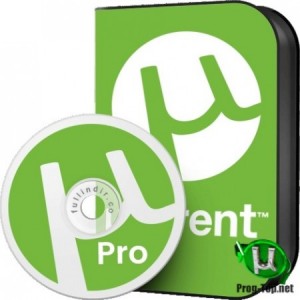 utorrent pro indir