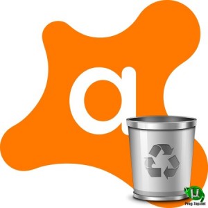 Prinuditelnoe-udalenie-Avast-1.jpg